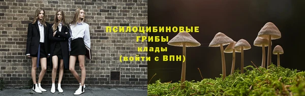 наркотики Белокуриха