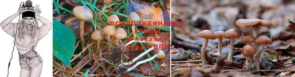 метадон Беломорск