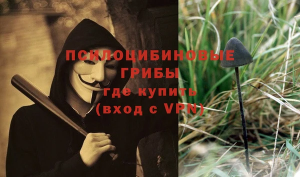 дурь Белоозёрский