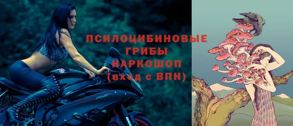 наркотики Белокуриха