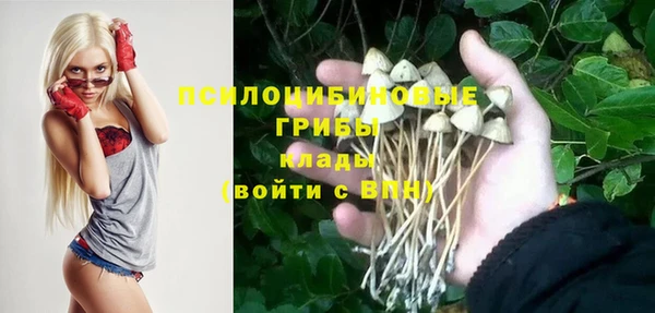 наркотики Белокуриха