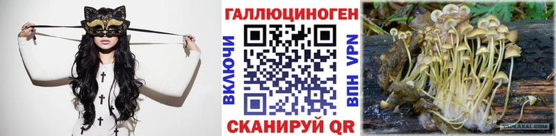 Галлюциногенные грибы Cubensis  darknet какой сайт  Костомукша 