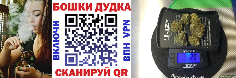 мориарти наркотические препараты  Костомукша  Марихуана ГИДРОПОН 